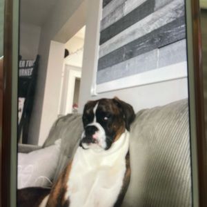 Meet your Posher, Trisha